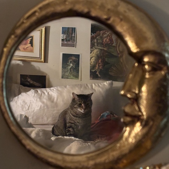 ericamc427